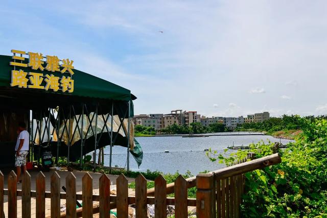 新埠岛就要这么玩！龙舟赛+N种“浪”法，快乐持续加码