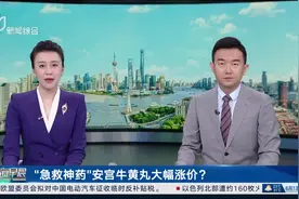 “急救神药”安宫牛黄丸大幅涨价？视频封面