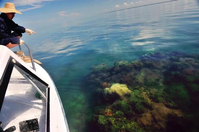 一键解锁湛江海岛天花板！这份官方推荐的「海岛漫游指南」请查收！