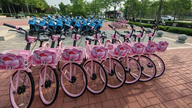 起猛了，我在洛阳被「牡丹」包围了！