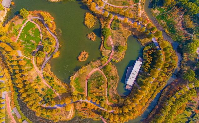 郑州气温持续回升！晒太阳的好去处推荐