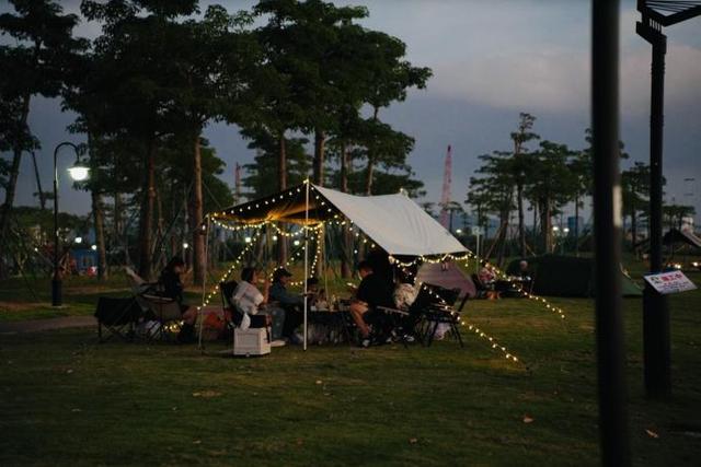 横琴花海长廊骑行攻略来了！轻松打卡“花海赛道”同款浪漫