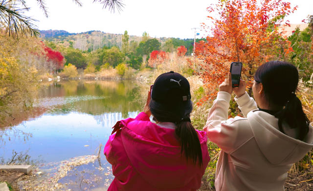 小红书上都在问地址？威海这个红枫湖美成画