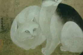 宋代猫奴手册①︱衔蝉毛色白胜酥——品种、角色、猫市图片