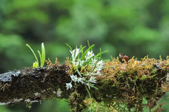 他初中毕业后终身不婚，荒野舍命工作20年，被一群博士封神