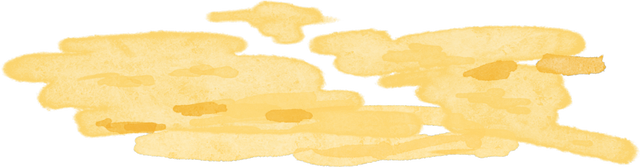 层林尽染赏秋时！宝山11月文旅活动清单，超多活动等你来打卡