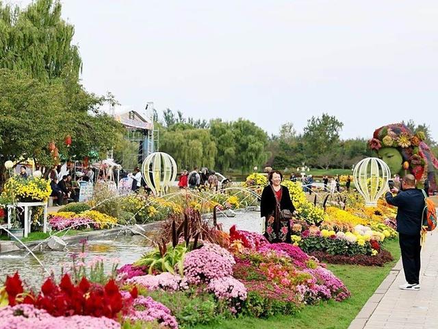 北京号最精彩｜秋色上新！紫色花毯蔓延昆玉河畔——