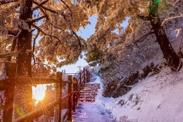 年假清零，总要留几天给洛阳