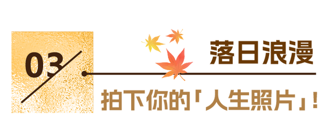 东湖冬日必打卡！观“雪”景、赏秋色、追落日！