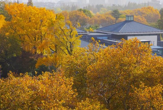 太仙了！美到巅峰！这个周末，又要人人人啦~