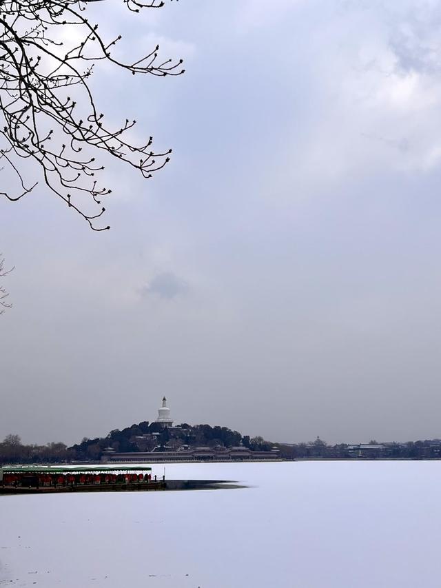 雪后的北海，水鸟舞出冬日最灵动的画卷