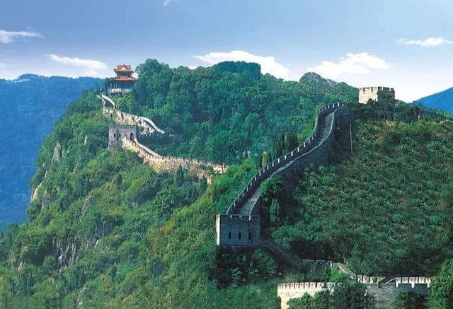 莲都人！免费！