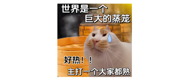 台风“杨柳”太远，上海降温无望！连续10天超35℃！厨房变蒸笼？快手早餐来救场！