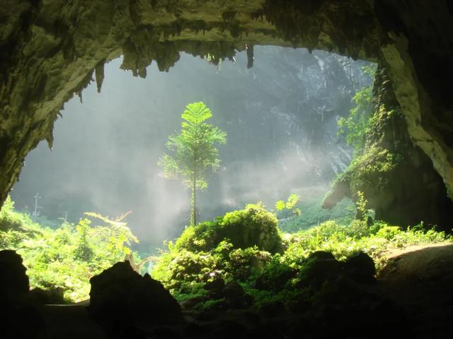 暖身又暖心!8条自驾线路带你在广西反向过冬→