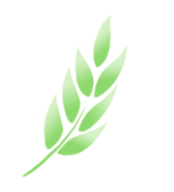 官宣！陇东环线，一票互通！