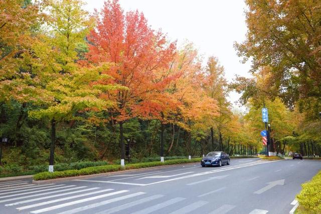 余杭初冬藏不住！这些秘境绝美~