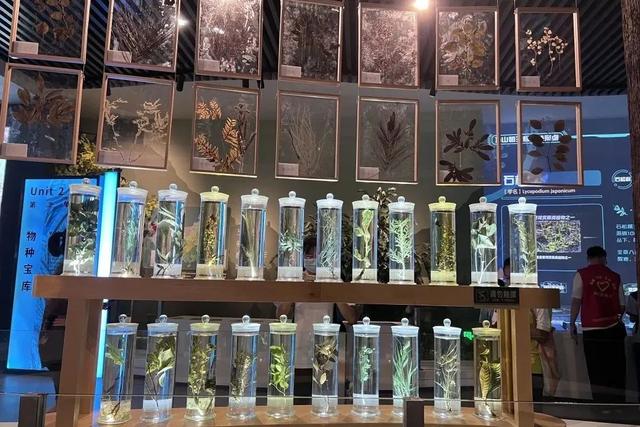 省妇联推荐！清远2条亲子游线路正式公布！