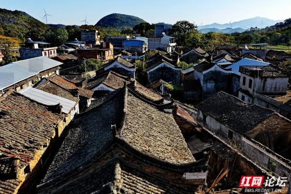 古村新韵：青砖黛瓦里的时光交响