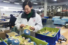 产销两旺，汉滨区五里工业集中区喜迎“开门红”图片