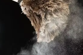 别小瞧家里的灰尘！接触8种 “永久性化学物质”儿童患白血病风险高60%图片