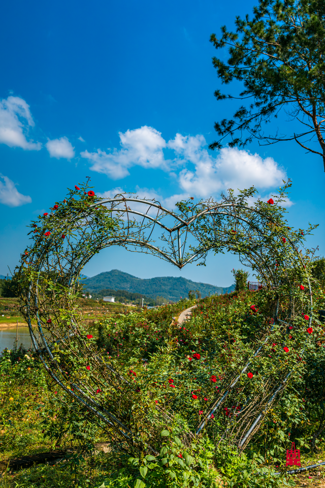 想追风，去团风！