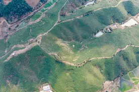 江西瑞昌：春茶飘香采摘忙 小茶叶变身“小金叶”图片