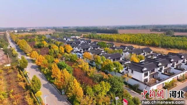 河北辛集：邂逅晚秋初冬“撞色”生态画卷
