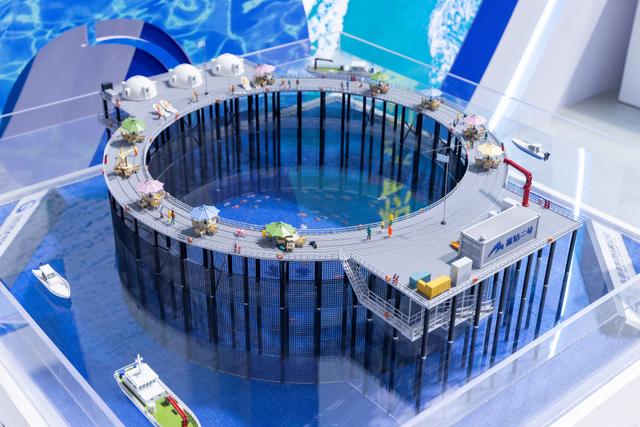 打卡2025东亚海洋博览会，感受蓝色海洋科技魅力