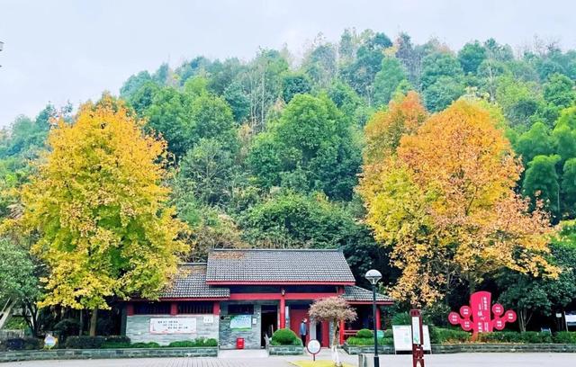 开放共享公园绿地，建德+2！在你家附近吗？