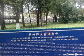 犬只伤人养犬人应先垫付医疗费，10月1日起惠州开始实施图片