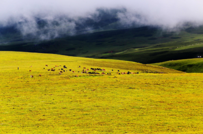 文旅融合 | 文旅赋能激活美姑新活力