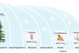 中国科学院分子植物卓越中心在Nature和Cell上在线发表重要研究进展，详见→图片