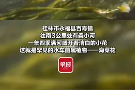 民间有高手，广西这些公民科学家助力发现新物种丨报告，发现新物种！图片