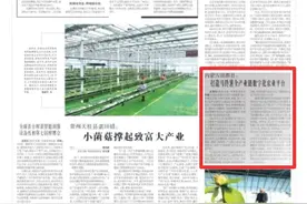 【新闻播报】农民日报 | ​内蒙古商都县：打造马铃薯全产业链数字化农业平台图片