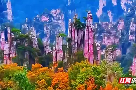 张家界核心景区不排队少花钱的自驾游攻略图片