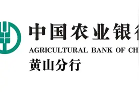 引以为戒！黄山市森林火灾（火情）典型警示案例图片