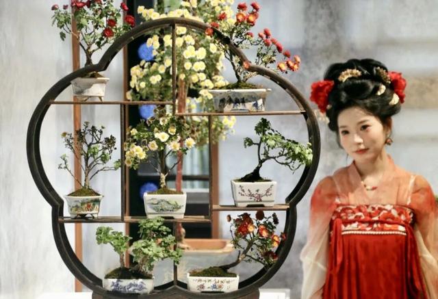 苏州的秋天，给你点“颜色”看看！