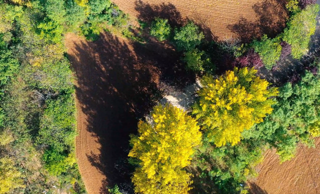 藏在骊山深处的调色盘，每一帧都是绝美风景→