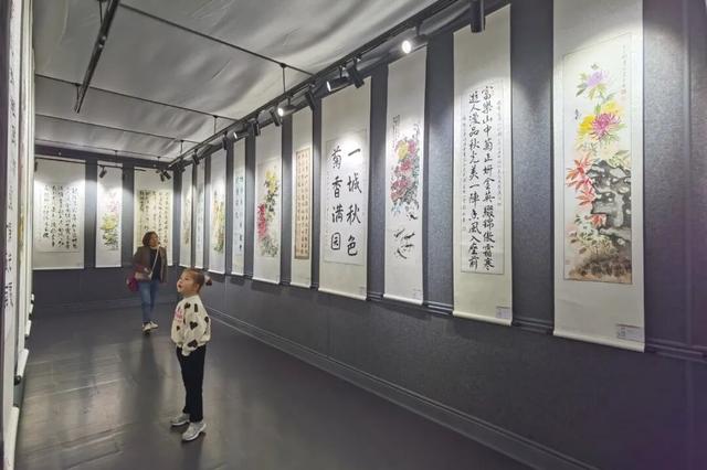 青睐绵阳 ‖ 一城秋色，菊香满园，游仙区富乐山十万香阵花正浓！