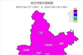 武汉天气：大雨、暴雨、大暴雨要来了！还带11级大风图片