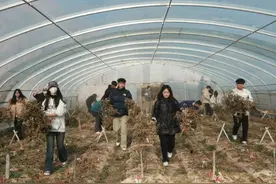 兰州城市学院教育学院：组织学生开展劳动教育实践活动图片