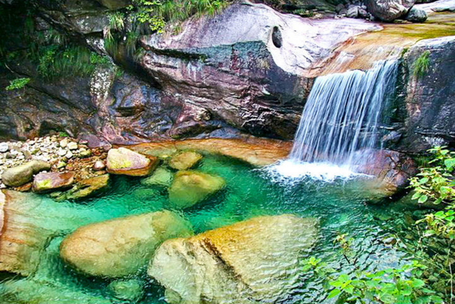 热搜！寒潮收尾！周末最高21℃！来光明东滩源、黄山茶林场兜兜…最低2折特惠！太值了！