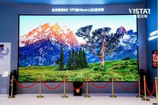 两大全球首发 维信诺亮相世界显示产业创新发展大会