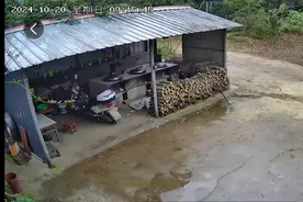 走失30个小时，8岁男童在深山中被找到！图片