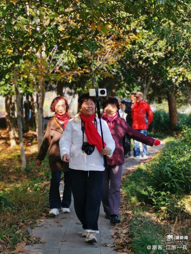 写点生活｜长兴水口疗养记