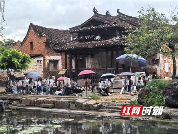 湖南江永：研学热带动产业兴