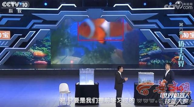 深海魅影！西工大研制出“水下幽灵”——仿生水母机器人
