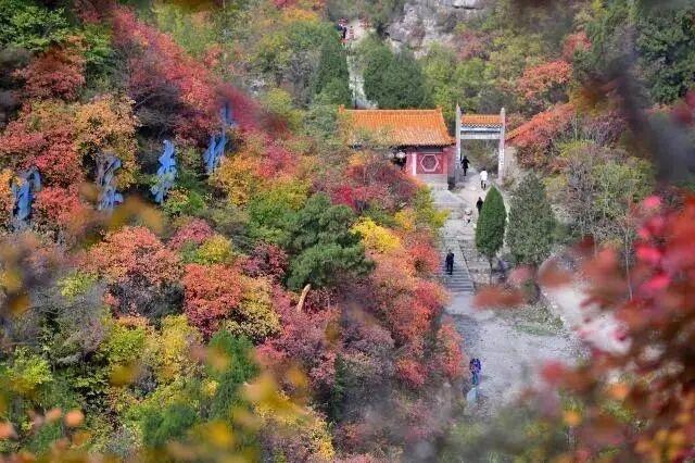 石家庄赏秋观叶时间表来了！最佳观赏时间从10月中旬开始