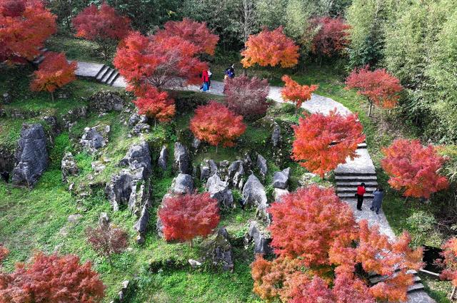 裁取冬色入画框#(2)