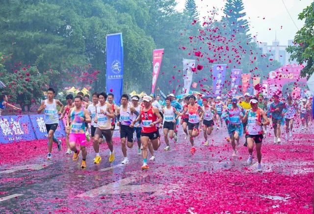 从远方而来，在暖阳里奔跑